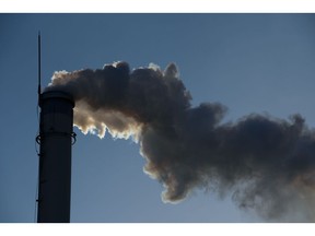 Carbon credits are bought by emitters of greenhouse gases to offset their activities.
