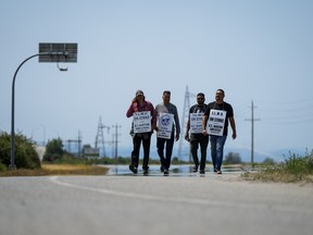 Striking International Longshore and Warehouse Union Canada workers walk a picket line on a road leading to Deltaport, in Delta, B.C., on Friday, July 7, 2023.