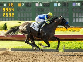 In a photo provided by Benoit Photo, Reincarnate and jockey Juan Hernandez win the $125,000 Los Alamitos Derby horse race Saturday, July 8, 2023, at Los Alamitos Race Course in Cypress, Calif. (Benoit Photo via AP)