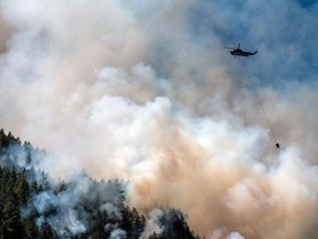 A helicopter waterbomber flies above the Cameron Bluffs wildfire near Port Alberni, B.C.