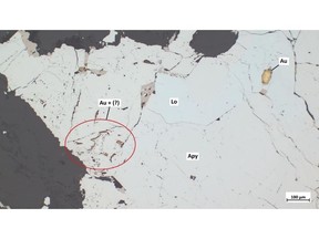 Löllingite (Lo) partially transformed into arsenopyrite (Apy) showing several inclusions of native gold (Au)