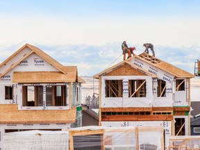 Homes under construction in Calgary.