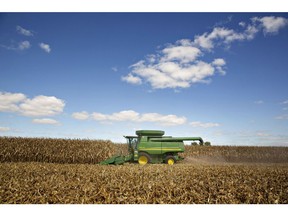 Non-GMO corn is harvested with a John Deere & Co. 9670 STS combine harvester in Malden, Illinois, U.S., on Wednesday, Sept. 30, 2015.  Photographer: Daniel Acker/Bloomberg