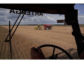 A worker operates a combine harvester to cut through a field of soybean plants at a drought-affected farm in San Jose de la Esquina, Argentina, on Thursday, April 6, 2023. A drought of biblical proportions in Argentina is showing no signs of letup, with soybean plants getting baked to a crisp on the Pampas farm belt.