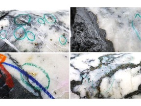 Figure 1: Photos of mineralization from Top Left: at ~95.5m in NFGC-23-1395, Top Right: at ~95.9m in NFGC-23-1395, Bottom Left: at ~47.5m in NFGC-23-1380, Bottom Right: at ~95.2m in NFGC-23-1395. ^Note that these photos are not intended to be representative of gold mineralization in NFGC-23-1380 and NFGC-23-1395.