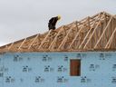 A construction worker works on a home on a new housing development in Oakville, Ontario.