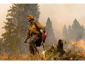 A firefighter uses a drip torch during the Mosquito fire near Volcanoville, California, US, on Friday, Sept. 9, 2022. The wildfire, which started Tuesday evening north of the Oxbow Reservoir, had burned nearly 34,000 acres by Saturday morning and remains 0% contained, making it one of the state's largest wildfires of the season so far, reported the San Francisco Chronicle.