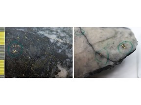 Figure 1: Photos of mineralization from: Left: ~38m in NFGC-23-1425, Right: at ~22.5m in NFGC-23-1423. ^Note that these photos are not intended to be representative of gold mineralization in NFGC-23-1423 and NFGC-23-1425.