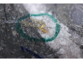 Figure 1: Photo of mineralization at ~51.2m in NFGC-22-1005 ^Note that this photo is not intended to be representative of gold mineralization in NFGC-22-1005.