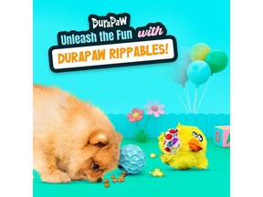 DuraPaw Rippables 2-in-1 Hidden Surprise Dog Toy