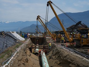 Workers lay pipes during the construction of Trans Mountain Corp.s pipeline expansion on farmland, in Abbotsford, B.C.