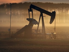 The 2023 TSX 30 list is heavily dominated by oil and gas companies, which make up 50 per cent of the list.