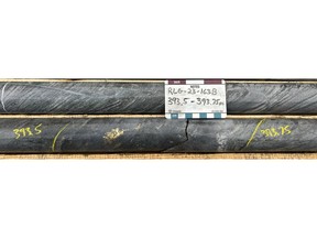 Figure 1. Impressive visible gold showing within intercept grading 1,120.19 g/t Au. Diamond drill core in this photo is NQ diameter (47.6 millimeters).