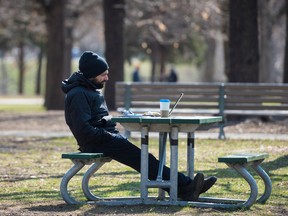A man works on his laptop in a park in Toronto.