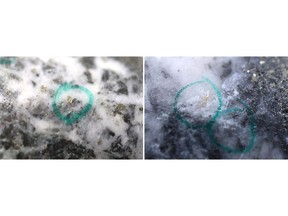Figure 1: Photos of mineralization, Left: at ~53m in NFGC-23-1465, Right: at ~163.5m in NFGC-23-1107 ^Note that these photos are not intended to be representative of gold mineralization in NFGC-23-1107 and NFGC-23-1465.