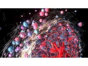 Illustrative example: cancer associated fibroblasts (CAFs) and the tumor microenvironment.