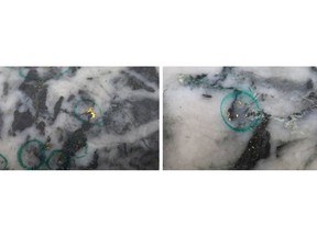Figure 1: Photos of mineralization, Left: at ~79m in NFGC-23-1505, Right: at ~29m in NFGC-23-1415 ^Note that these photos are not intended to be representative of gold mineralization in NFGC-23-1415 and NFGC-23-1505.