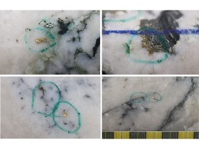 Figure 1: Photos of mineralization, Top Left: at ~46m in NFGC-23-1482, Top Right: at ~117m in NFGC-23-1535, Bottom Left: at ~86.5m in NFGC-23-1585, Bottom Right: at ~150.6m in NFGC-23-1123 ^Note that these photos are not intended to be representative of gold mineralization in NFGC-23-1123, NFGC-23-1482, NFGC-23-1535, and NFGC-23-1585.