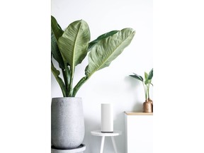 White WiFi tower node standing on a small white bench between a large plant and a small plant on a cabinet against a white wall.