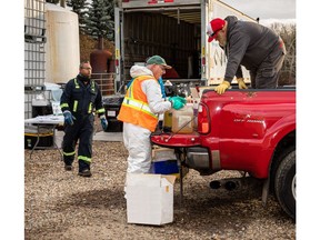 Farmers can bring unwanted pesticides and old livestock/equine medications to a nearby Cleanfarms collection event to dispose of them safely helping to keep Saskatchewan farms clean. – Cleanfarms photo