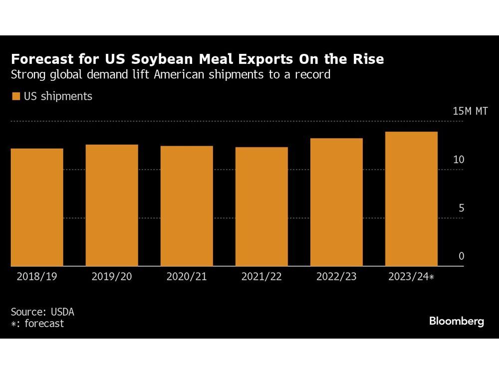 Biofuel Boom To Push US Soy Meal Exports To Record High | Financial Post