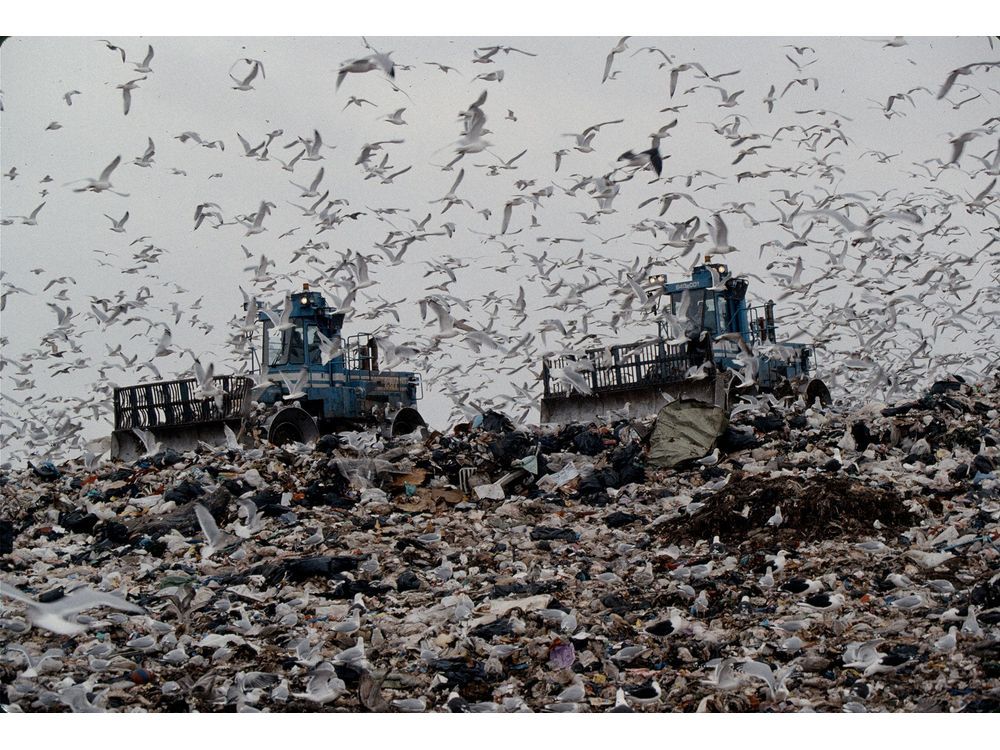 How New York City Turned the World's Biggest Garbage Dump Into a Park