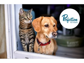 Post Holdings to Acquire Perfection Pet Foods