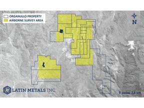 Map showing the Organullo property claims under option to AngloGold and the area where airborne geophysical survey has been completed.
