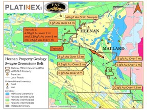 Heenan Property Geology