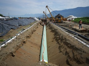Workers lay pipe during construction of the Trans Mountain pipeline expansion on farmland in Abbotsford, B.C.