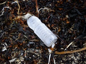 A single use plastic water bottle on the shore of Frobisher Bay in Iqaluit.