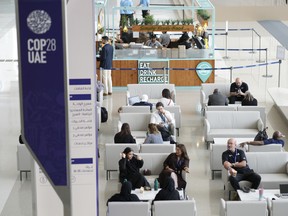 People meet ahead of the COP28 UN climate summit in Dubai, United Arab Emirates.
