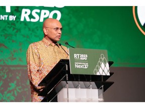 RSPO Chief Executive Officer delivering the opening speech at RSPO RT2023