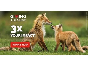 Show your love for Canada's wildlife by giving today and have your gift tripled. Visit GiveAGifttoWildlife.ca