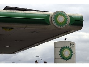 LONDON, ENGLAND - SEPTEMBER 23: A crow walks along a sign at a BP (British Petroleum) petrol station on September 23, 2021 in London, United Kingdom. BP has announced that its ability to transport fuel from refineries to its branded petrol station forecourts is being impacted by the ongoing shortage of HGV drivers and as a result, it will be rationing deliveries to ensure continuity of supply.