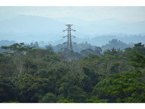 Forest and the power grid side-by-side in Indonesia