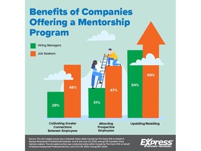 Benefits of Companies Offering a Mentorship Program