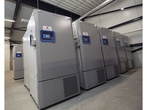 Ultra-low temperature freezer farm units at Mach 2 Pharmafreight's Netherlands facility.