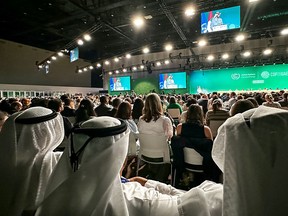 Participants attend the United Nations climate summit in Dubai. Nations adopted the first ever UN climate deal that calls for the world to transition away from fossil fuels.