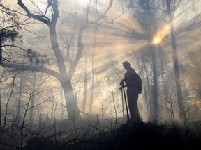FILE -A member of the Bridge Crew watches over a fire line, Wednesday, Jan. 6, 2010, in case the prescribed burn jumps the line and ignites on the other side of Kings Pinnacle in Crowders Mountain State Park in Gastonia, N.C. As the U.S. tries to restore a key forest ecosystem in the Southeast, landowners must light more fires on private property. The so-called 