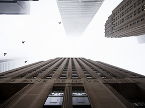 Birds fly among bank towers in downtown Toronto