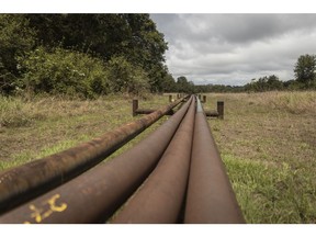 Oil pipelines in Gamba, Gabon.