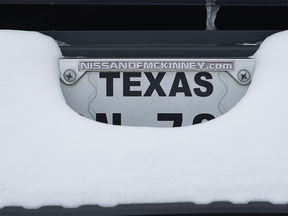 Texas licence plate with snow