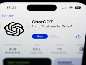 ChatGPT's debut kick-started a race between tech titans to innovate with AI and inspired other firms to consider how the tech could transform their businesses.