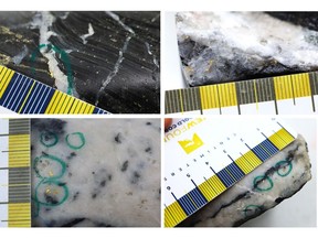 Figure 1: Photos of mineralization from: Top Left: NFGC-23-1669 at ~79.8m, Top Right NFGC-23-1783 at ~13.2m, Bottom Left: NFGC-23-1778 at ~17.8m, Bottom Right: NFGC-23-1669 at ~75.5m ^Note that these photos are not intended to be representative of gold mineralization in NFGC-23-1669, NFGC-23-1778, and NFGC-23-1783.