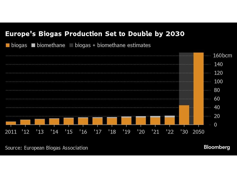 Biogas Traders Become Hot Commodities on Demand for Clean Fuel