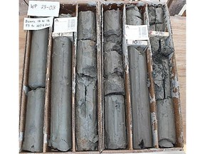 Figure 1: Representative Drill Core (photo of near-surface core from WP-23-03, assays pending)