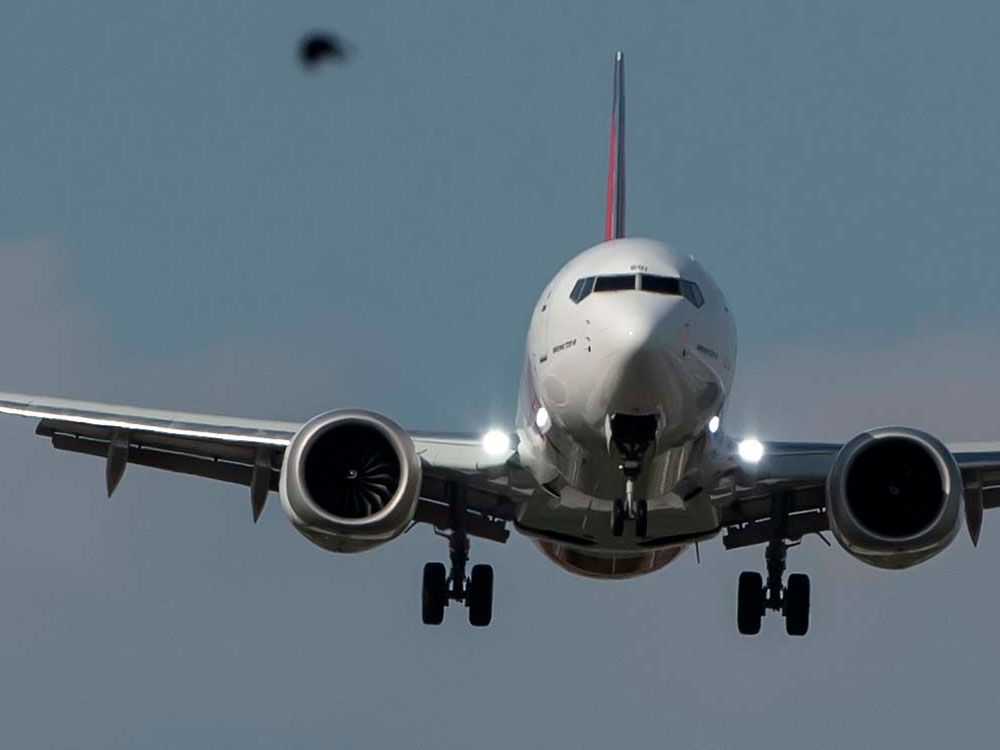 Canadians should book their flights now as airline fares set to soar
this summer, says expert