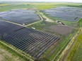 A field of solar panels