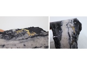 Figure 1. Photos of mineralization, Left: at ~97.60m in NFGC-23-1848, Right: at ~97.60m in NFGC-23-1848 ^Note that these photos are not intended to be representative of gold mineralization in NFGC-23-1848.